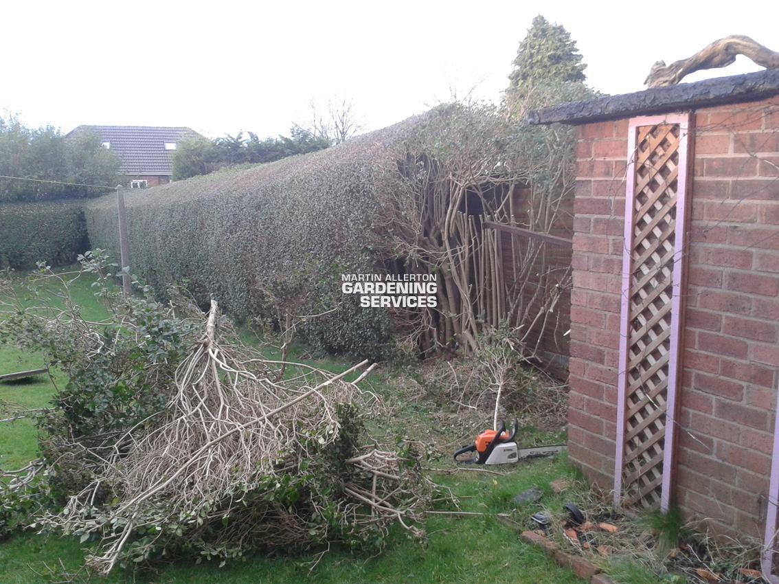 Stone hedge removal - before