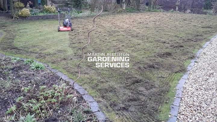 Stone lawn scarifying - before